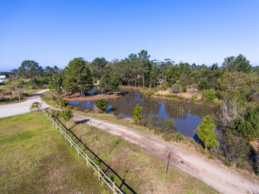 5 Bedroom Property for Sale in Plettenberg Bay Rural Western Cape